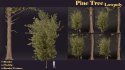 SJ lowpoly pine tree set 01 - Thumbnail 7