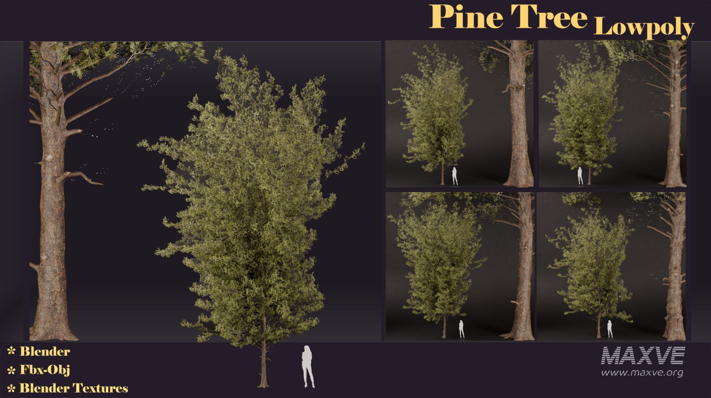 SJ lowpoly pine tree set 01 - Image 7
