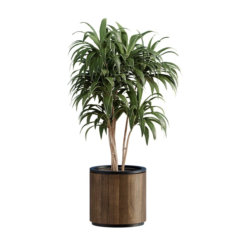 13 High Quality 3D Pot plants - Image 12