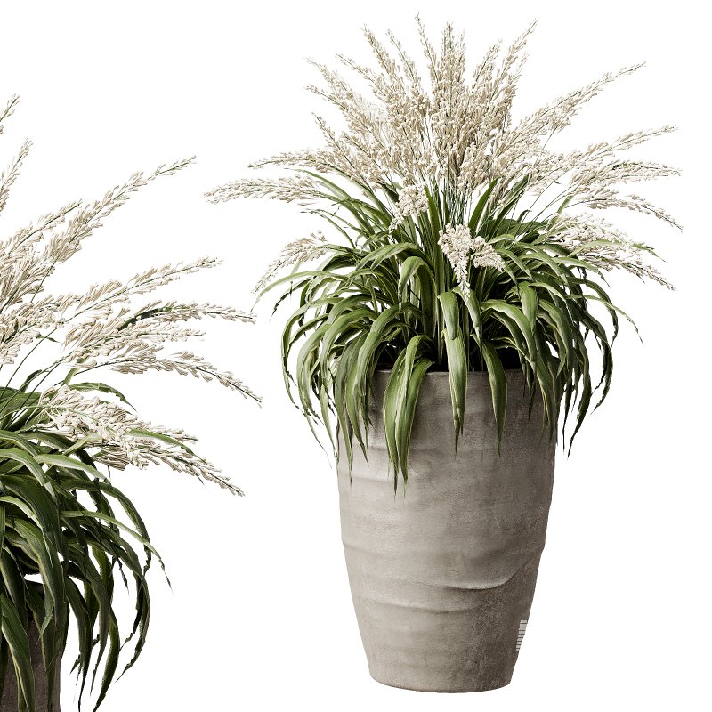 Outdoor Plant 42 - Image 5