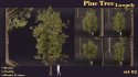 SJ-lowpoly pine tree set 02 - Thumbnail 6