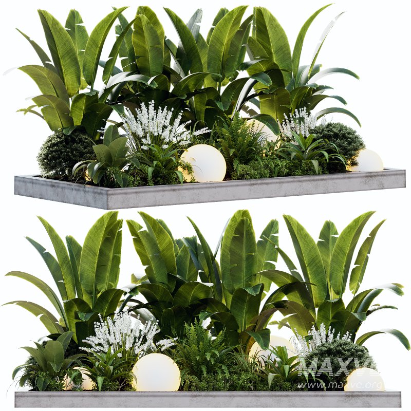 Outdoor Plant 40 - Image 2