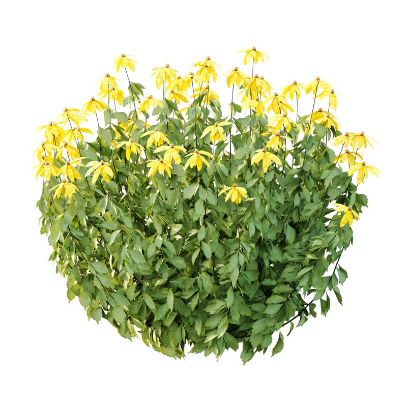 Different bush 08 - Image 5