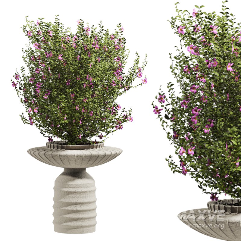 bush plants set - Image 2