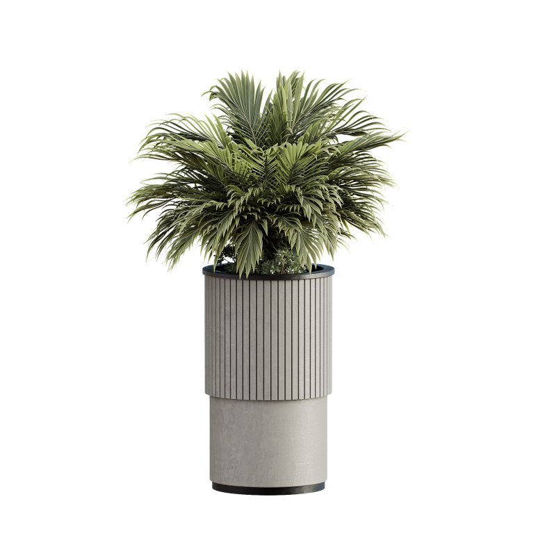 13 High Quality 3D Pot plants - Image 13