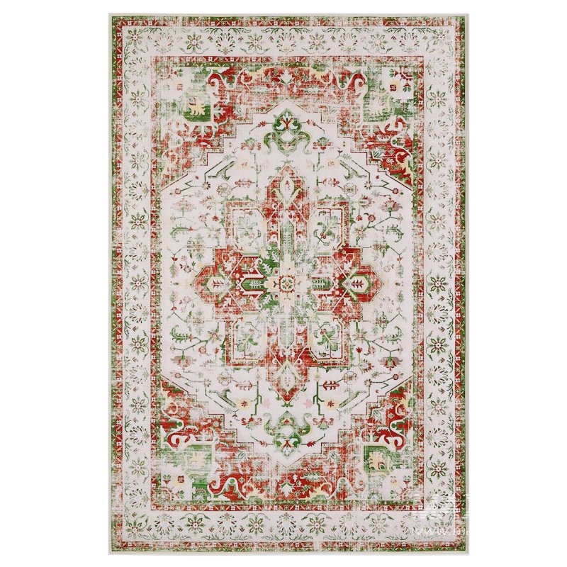 Topotdor Washable Rug - Image 3