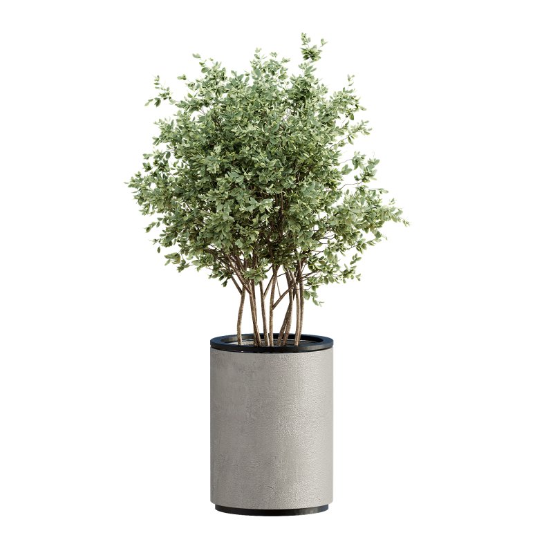 13 High Quality 3D Pot plants - Image 15