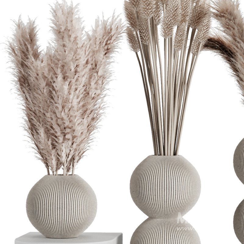 Dry branch set52 - Image 3