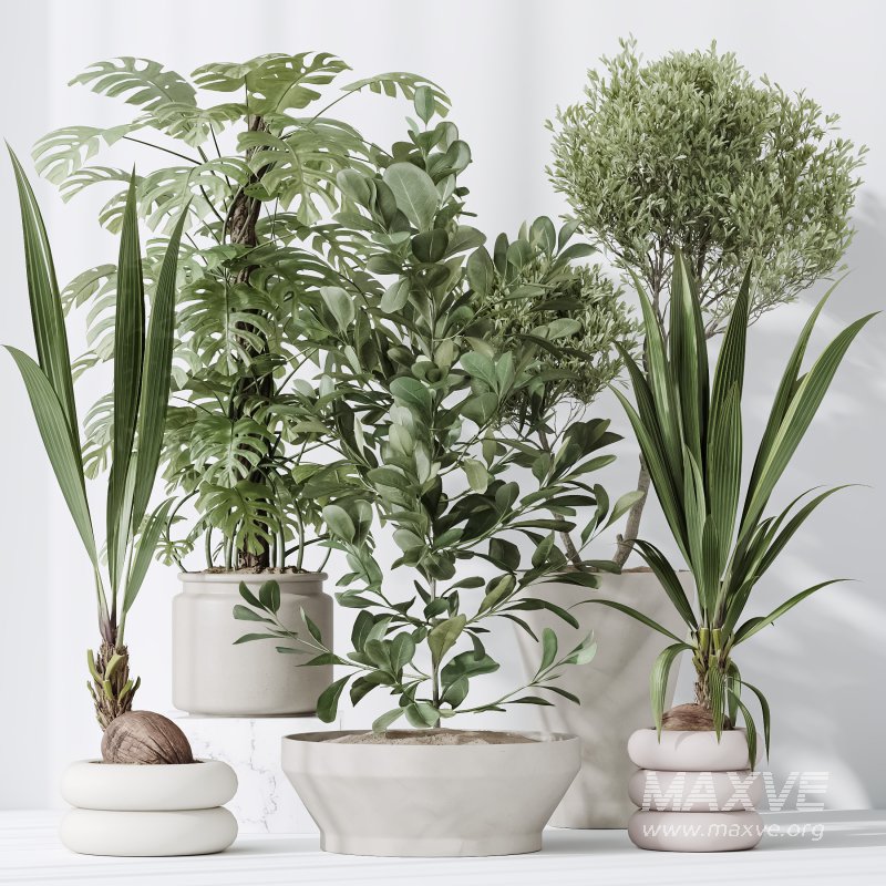 ntal olive—making this collection a visual statement for modern interior design. - Image 8