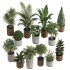 13 High Quality 3D Pot plants - Thumbnail 6