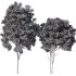 Tree Set32-Urban tree - Thumbnail 4