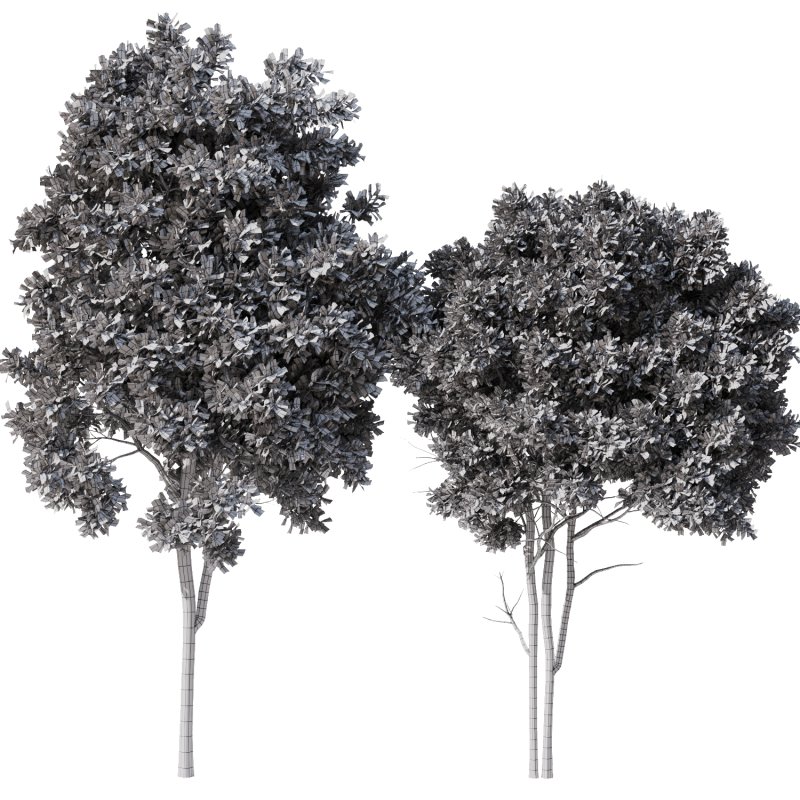 Tree Set32-Urban tree - Image 4