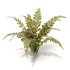 Tropical Crocodile Fern Decorative Bush - Thumbnail 6