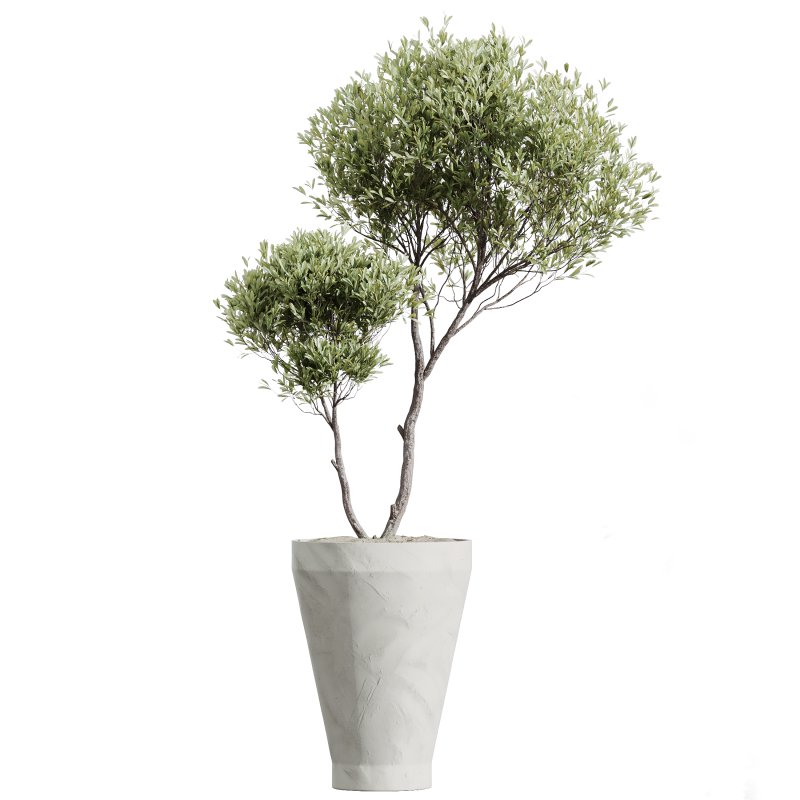 ntal olive—making this collection a visual statement for modern interior design. - Image 9