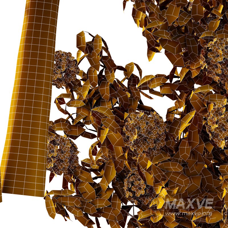 Rhododendron Arboreum Bush 01 - Image 7