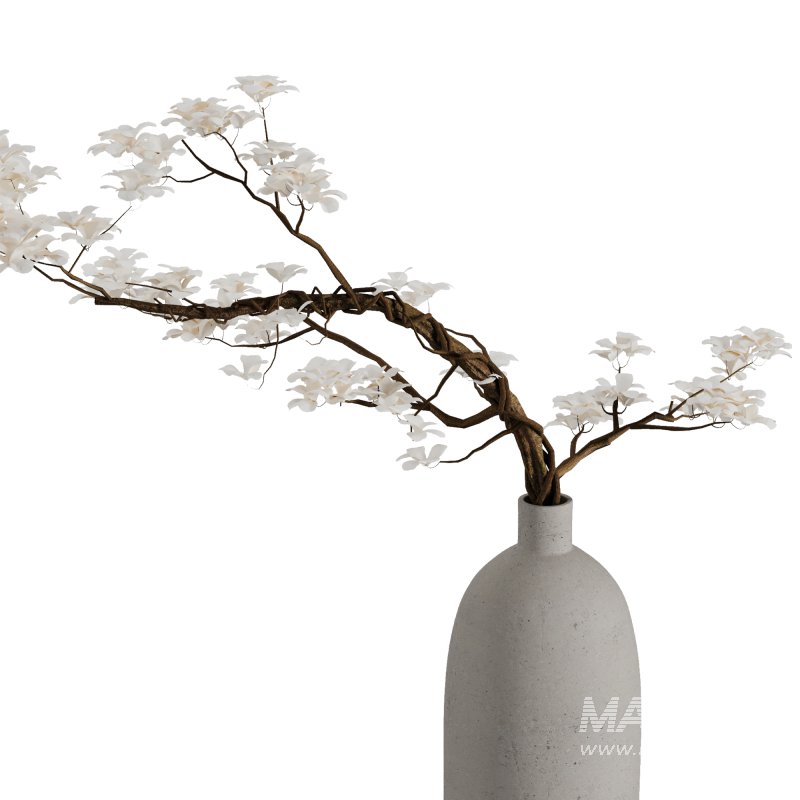 Dry branch set51 - Image 4