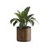 13 High Quality 3D Pot plants - Thumbnail 9