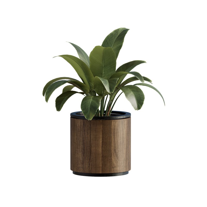 13 High Quality 3D Pot plants - Image 9