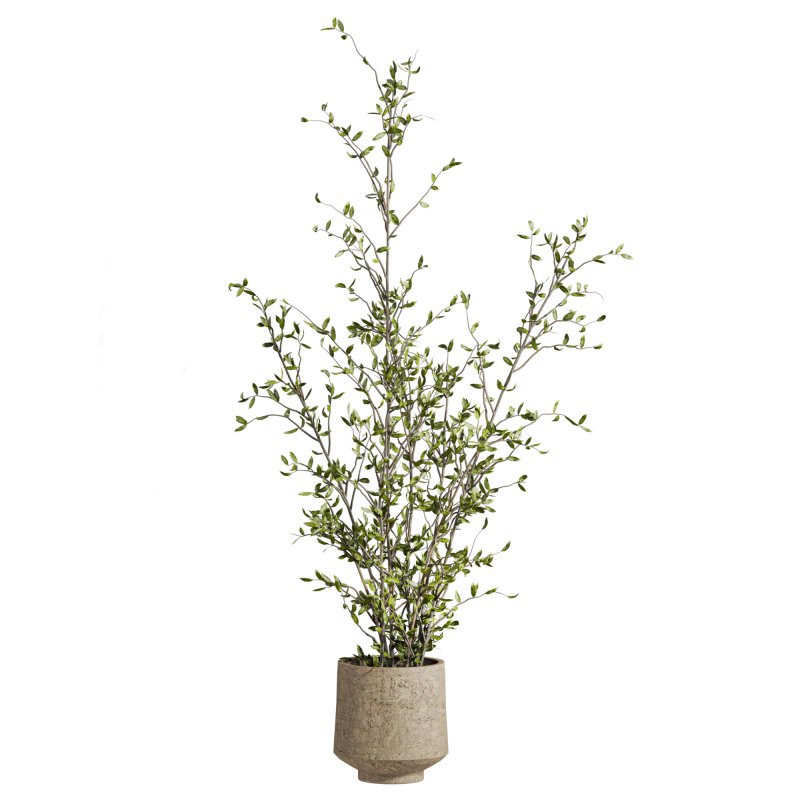 plants set - Image 2