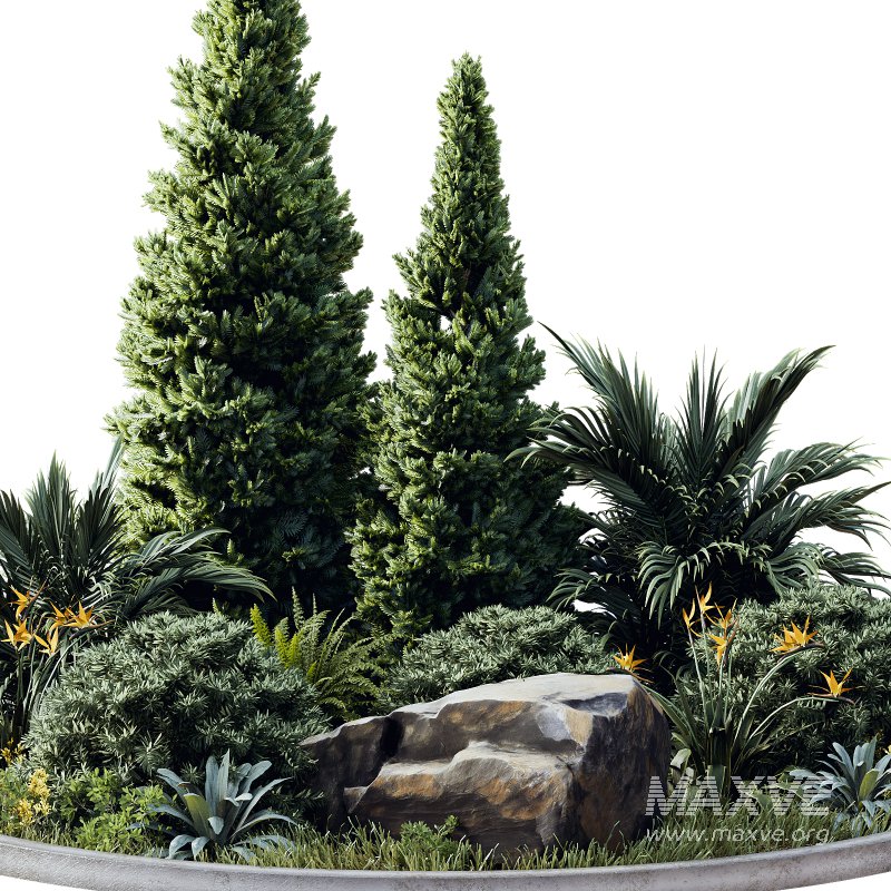 Outdoor Plant 41 - Image 4