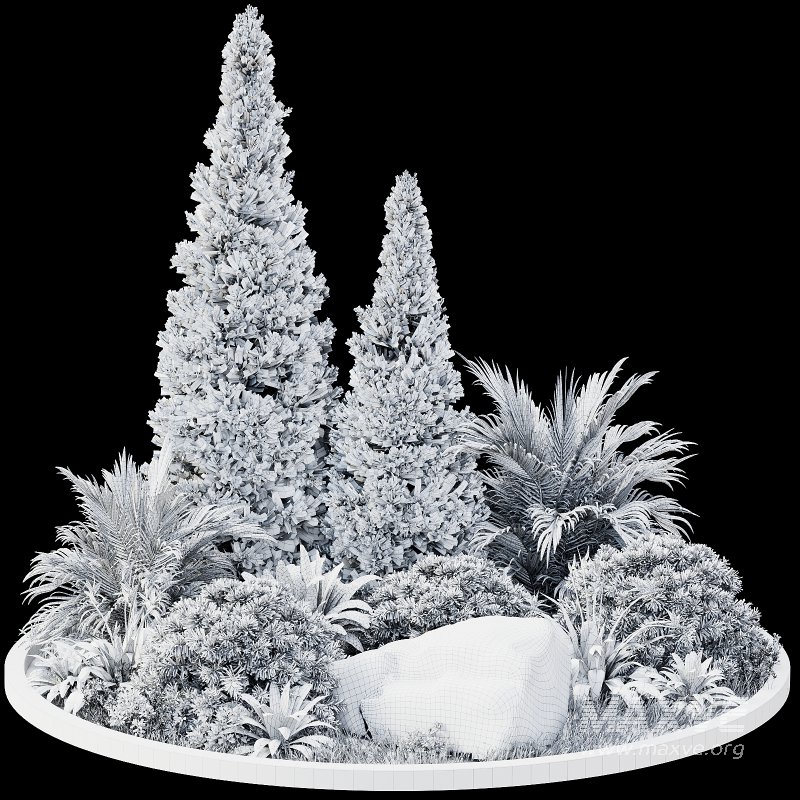 Outdoor Plant 41 - Image 5