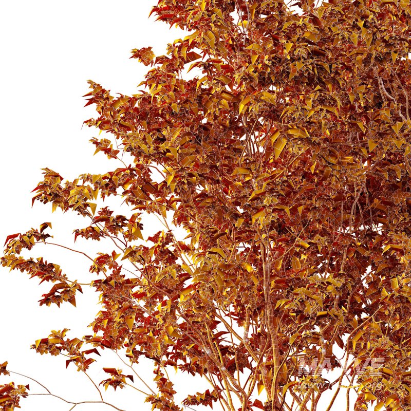 ntal presence. - Image 4