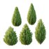 Italian Cypress Tree 3 - Thumbnail 3