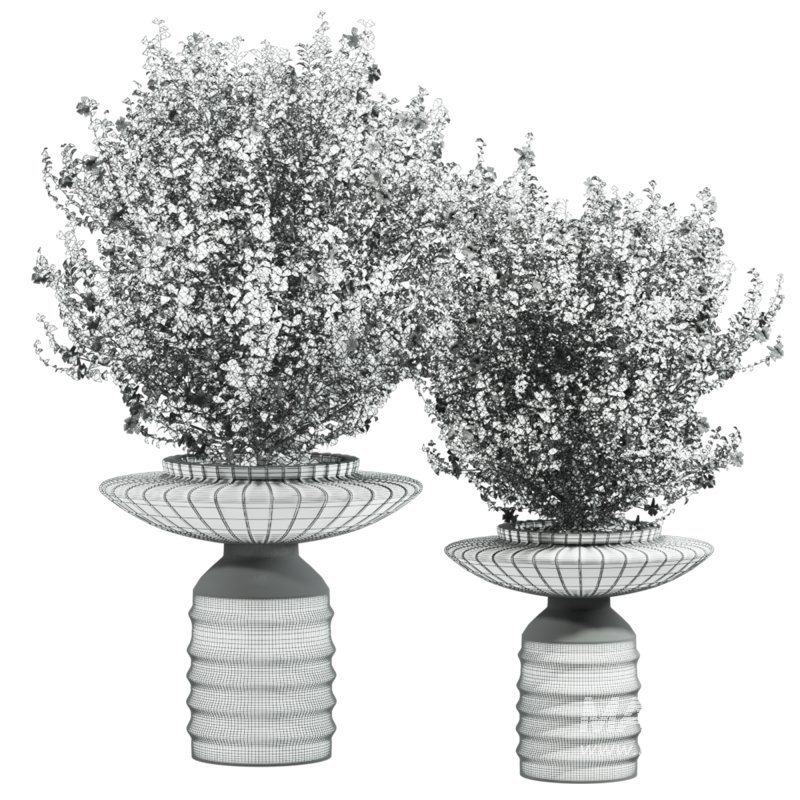 bush plants set - Image 4