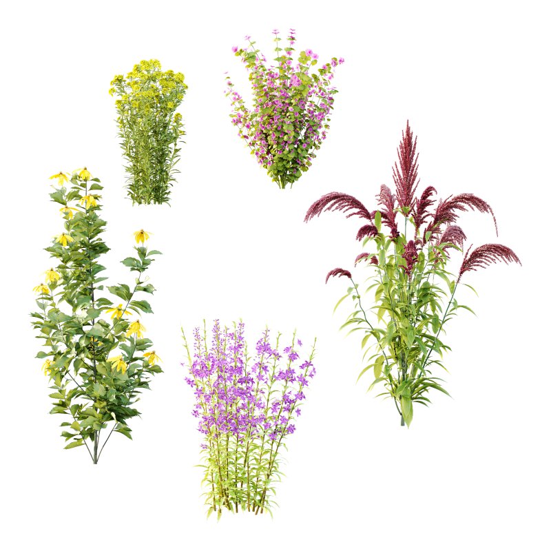 Different Grass 02 - Image 2