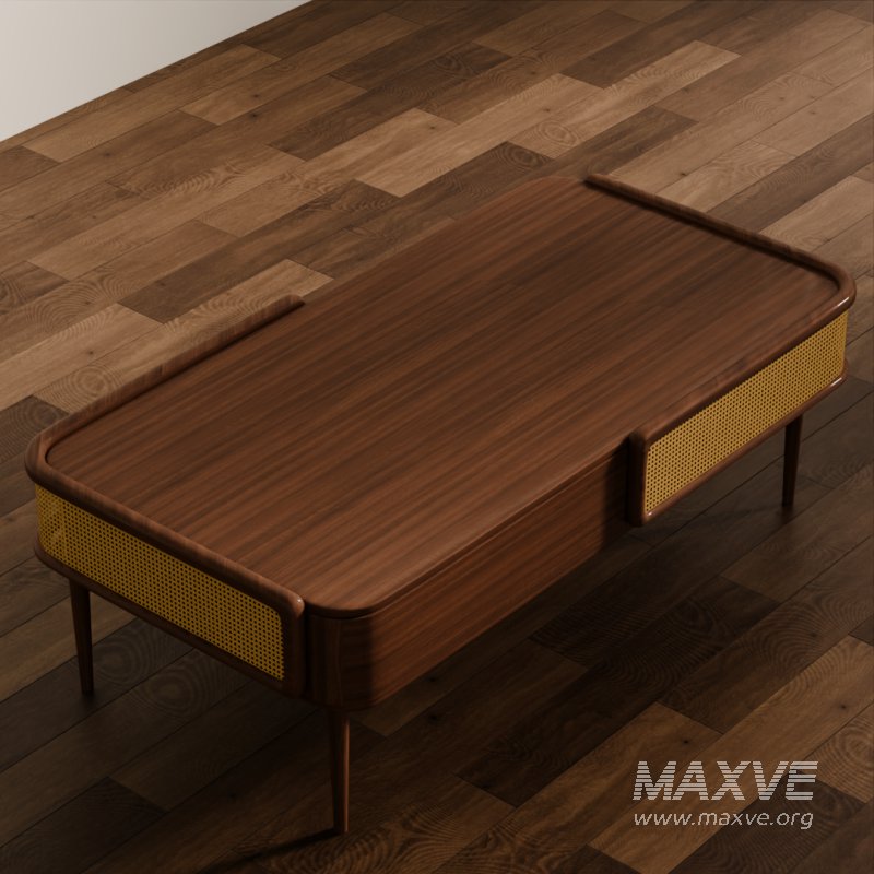 Mid-Century Modern Coffee Table - Image 5