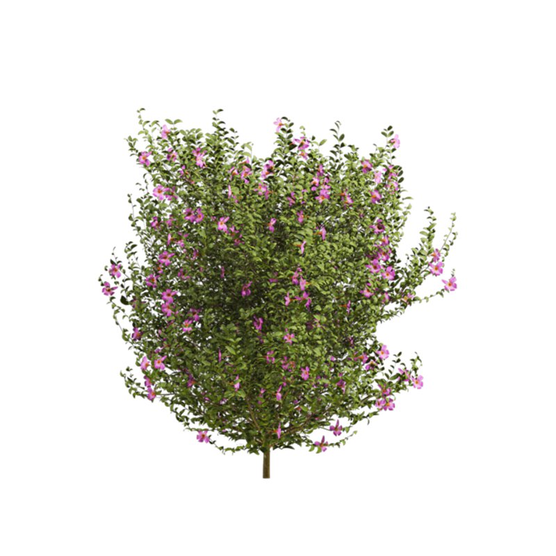 bush plants set - Image 4