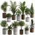 13 High Quality 3D Pot plants - Thumbnail 3