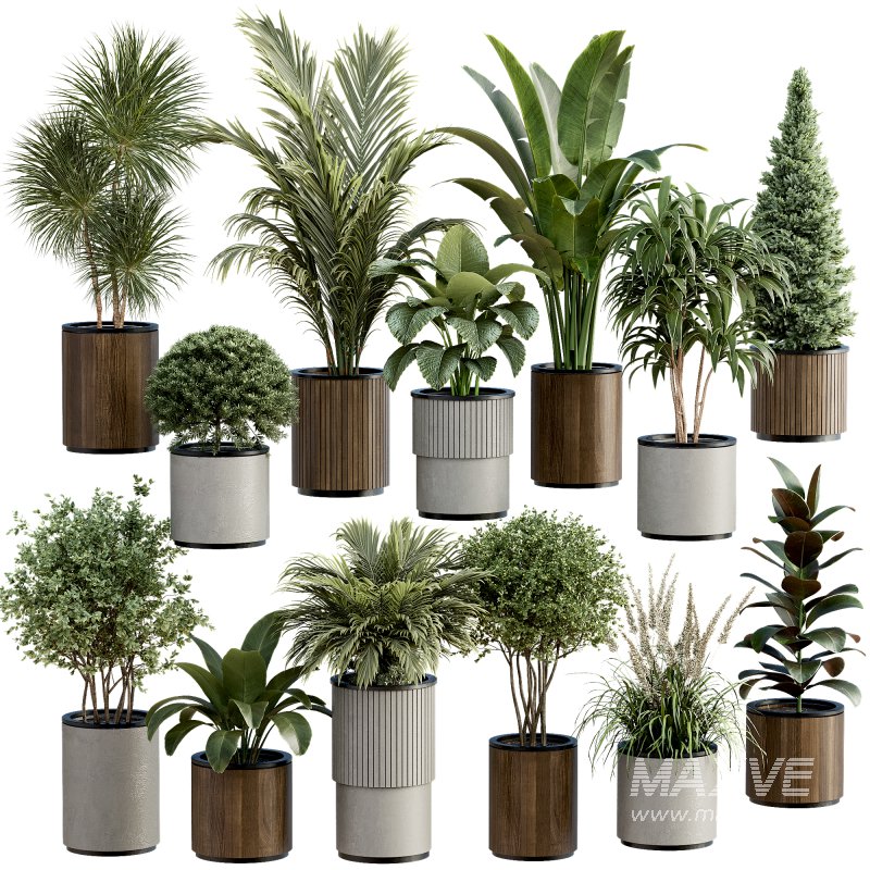 13 High Quality 3D Pot plants - Image 3