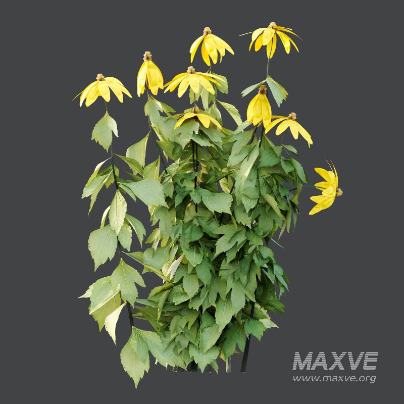 Different Grass 03 - Image 4