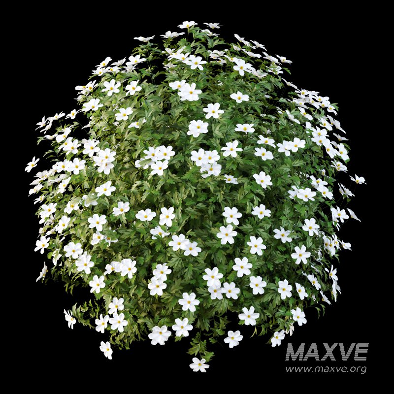 Different bush 09 - Image 4