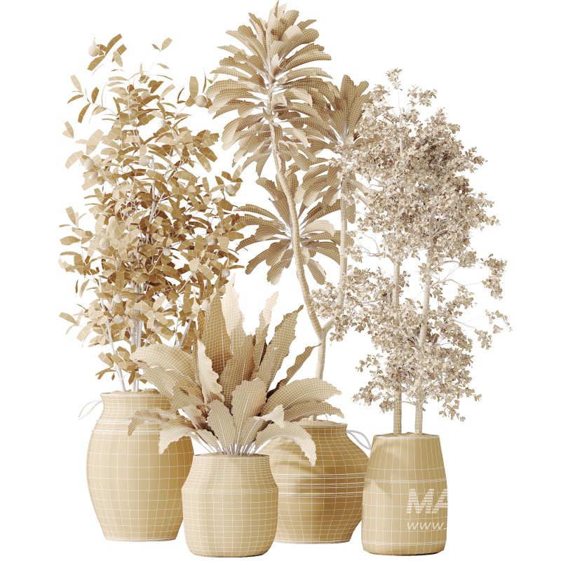 The AV Indoor Plants Set 219 - Image 7