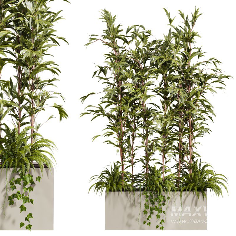 plants set - Image 3