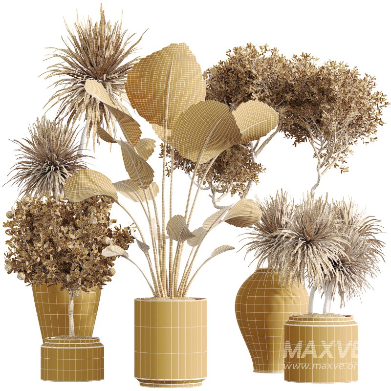 ntal, and fruit-bearing plants adds both texture and color variety to interior renders. - Image 6