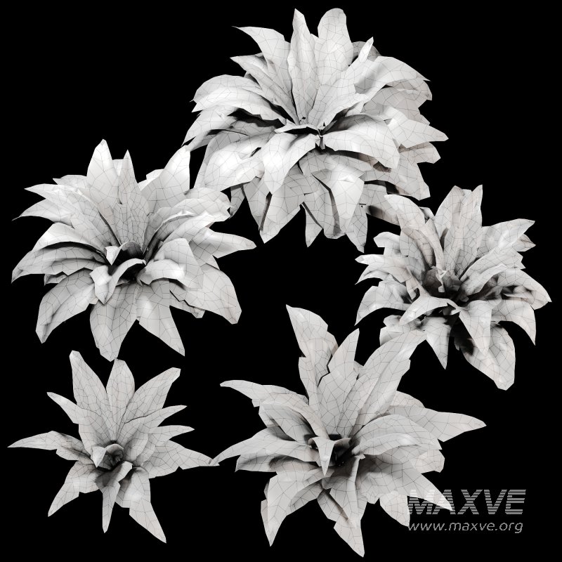 Tropical Crocodile Fern Decorative Bush - Image 2