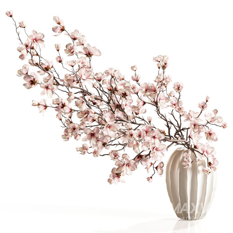 Magnolia Blossom Branches in White Ceramic Vase - Image 1