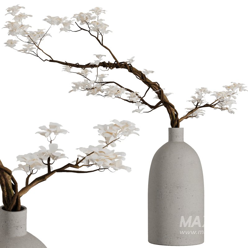 Dry branch set51 - Image 3