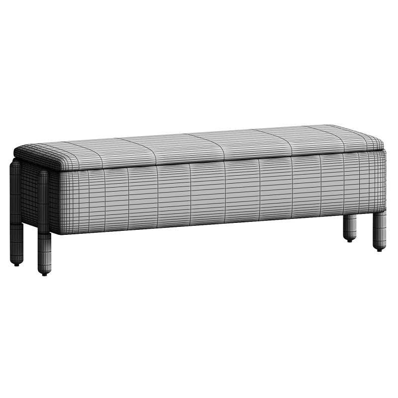 WestElm Ditmars Trunk - Image 1