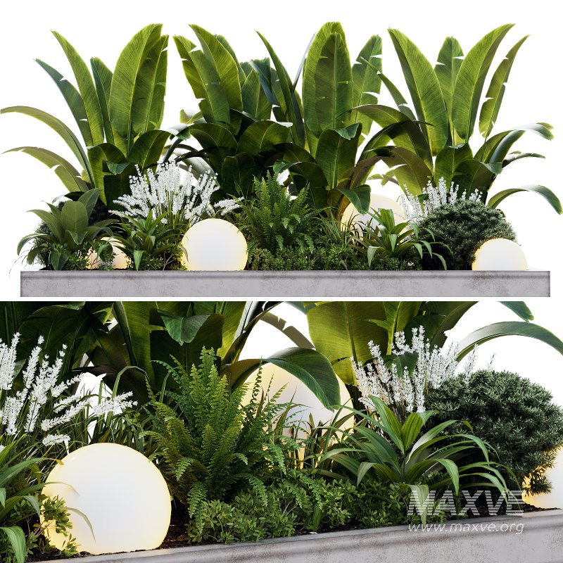 Outdoor Plant 40 - Image 5