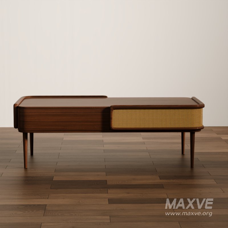 Mid-Century Modern Coffee Table - Image 3