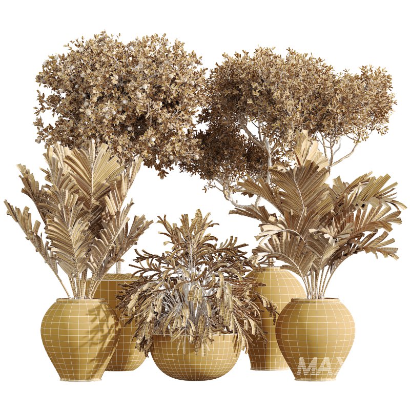 AV Indoor Plants Set 231 Dypsis Palm and Fruit Orange Tree and Mission Wilsonii Olive and Areca Palm - Image 5