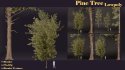 SJ lowpoly pine tree set 01 - Thumbnail 2