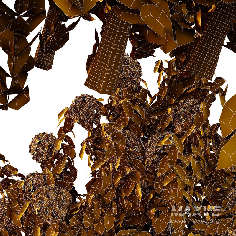 Rhododendron Arboreum Bush 06 - Image 5