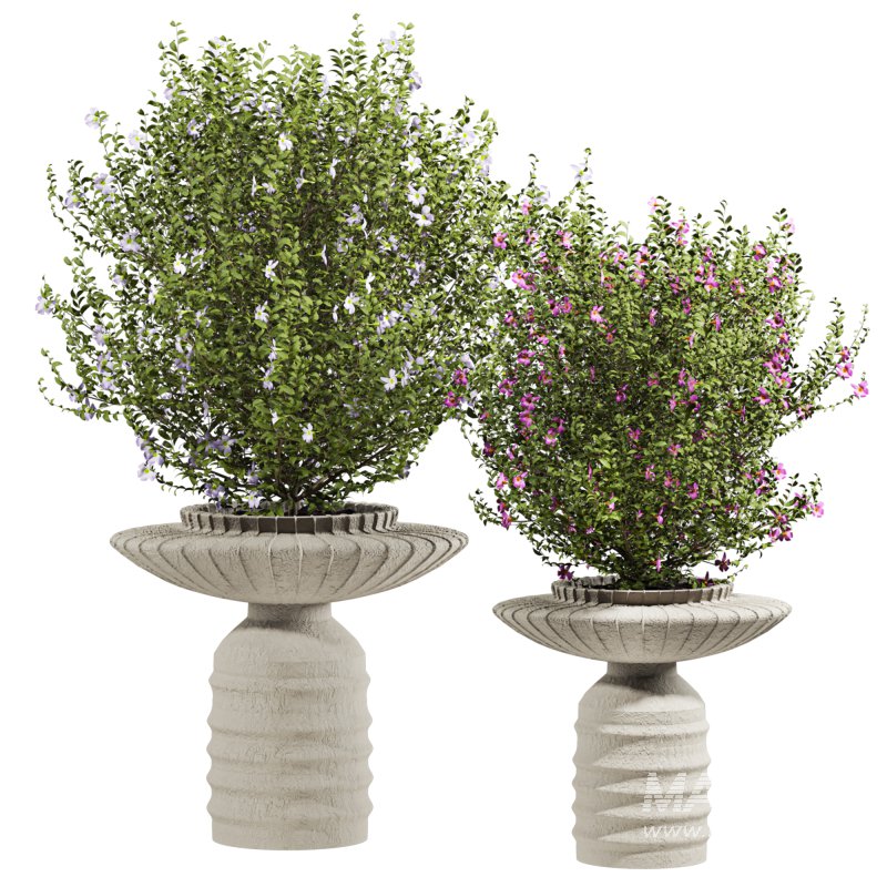 bush plants set - Image 1