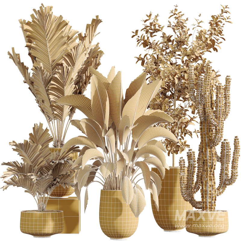 AV Indoor Plants Set 235 Banana Strelitzia Areca Palm Olive Eucalyptus Cactus Euphorbia - Image 6