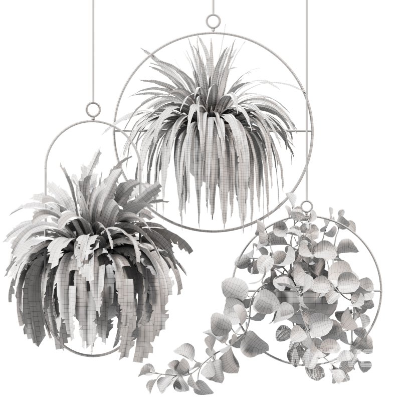 Hanging Houseplants in Metal Frames Set - Image 4